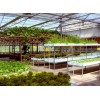 高標準智能溫室