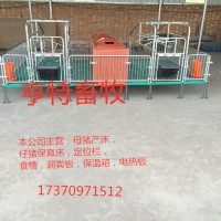 河北泊頭雙體母豬分娩產(chǎn)床設(shè)備廠家直銷
