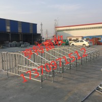 河北泊頭母豬定位欄設(shè)備廠家直銷