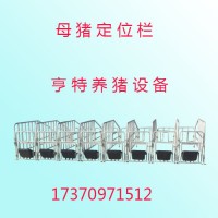 廠家直銷母豬定位欄設(shè)備養(yǎng)豬設(shè)備放心省心