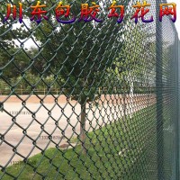 川東籃球場圍網(wǎng)體育場鐵絲網(wǎng)勾花網(wǎng)足球場藍(lán)球場圍欄網(wǎng)定制護(hù)欄網(wǎng)
