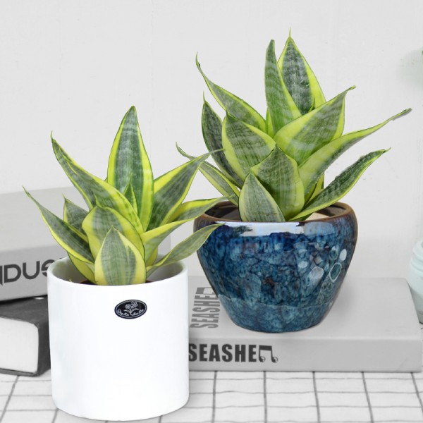 潮州市潮安區(qū)浮洋鎮(zhèn)源輝陶瓷廠