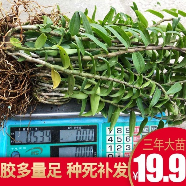 饒平縣康華生物科技有限公司
