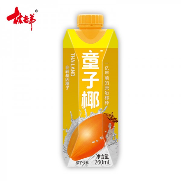 廣東林老弟食品有限公司昆江五村工場