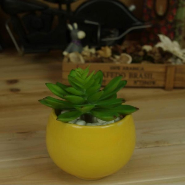 潮州市丹美斯陶瓷有限公司