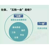 深圳分公司員工社保代繳，深圳企業(yè)員工社保代理