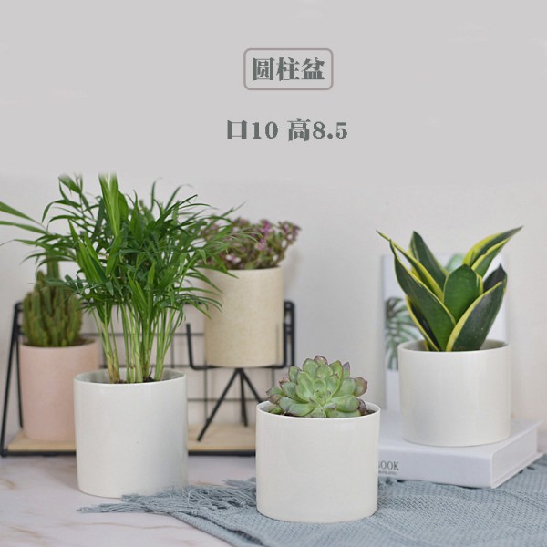 潮州市楓溪區(qū)恒青陶瓷網(wǎng)店