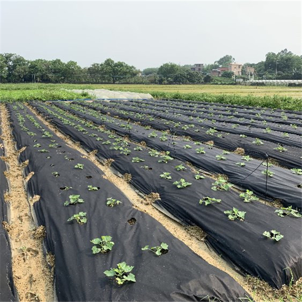 廣州市金浪星非織造布有限公司