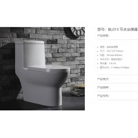 BL013 節水坐便器